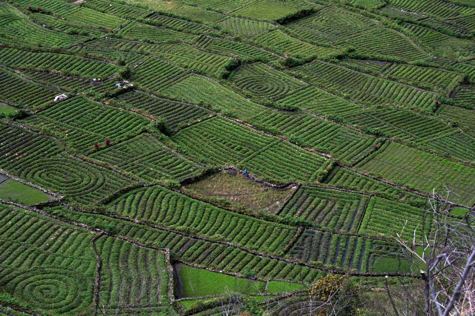 Rice Culture Of The Cordilleras | ABS-CBN News